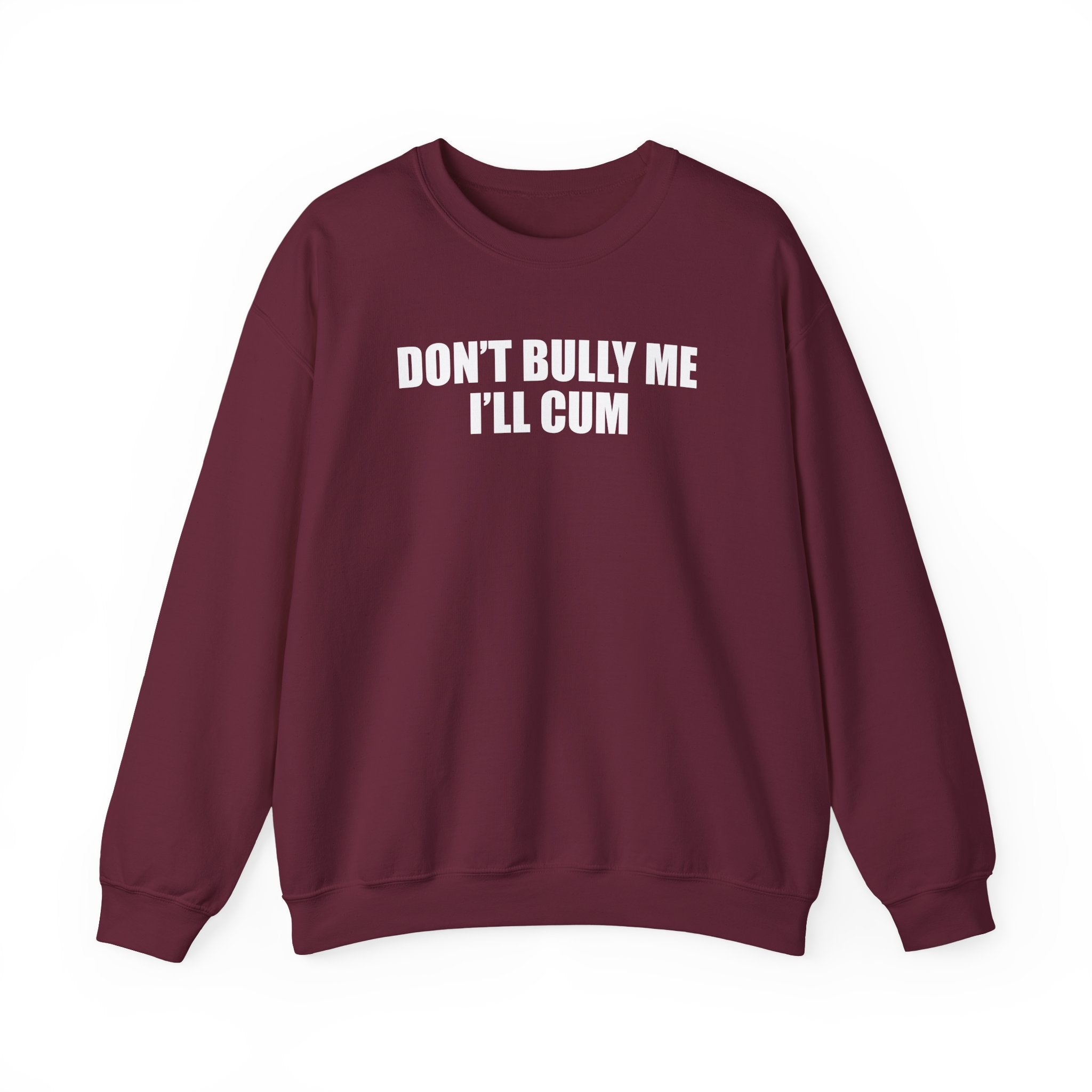 Don’t Bully Me I’ll Cum Sweatshirt